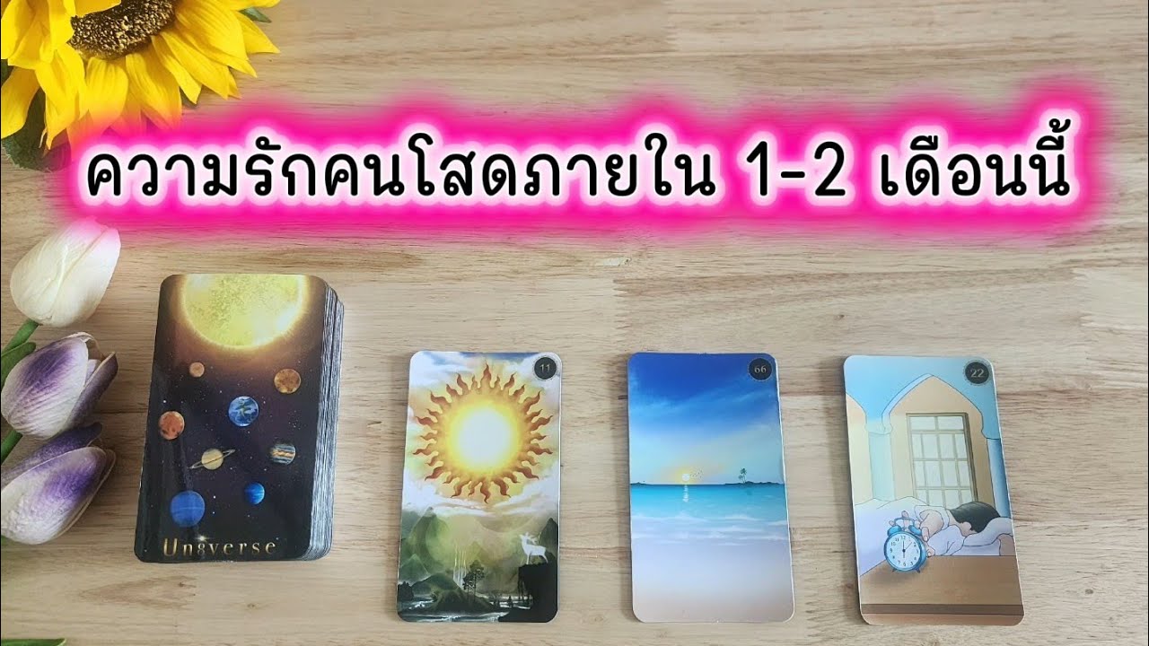🌻🍀Pick a card ความรักคนโสดภายใน 1-2 เดือนนี้ (โสดเป็นบางวัน?)🧚‍♀️💌