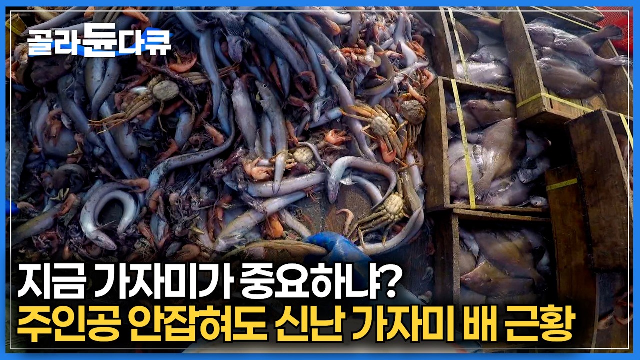 심해에서 끌어 올린 그물 속에 비싼 생선 수 십 종이..｜마치 공장과 다름 없는 가자미잡이 배 어업 과정｜바닷가 사람들｜#골라듄다큐