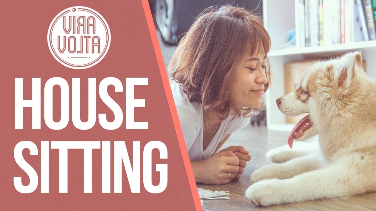 House Sitting - a forma mais confortável de se hospedar sem pagar