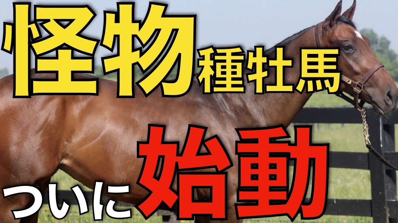 怪物種牡馬フライトラインがついに始動！日本でも成功となるのか？