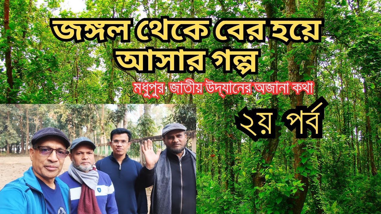 জঙ্গল থেকে বের হয়ে আসার গল্প | The story of coming out of the jungle | December/2025