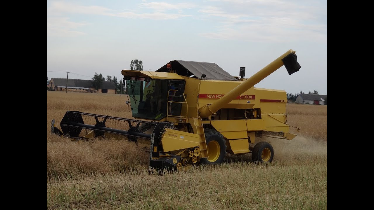 Żniwa 2015 - Rzepak -New Holland TX34 * Kujawy