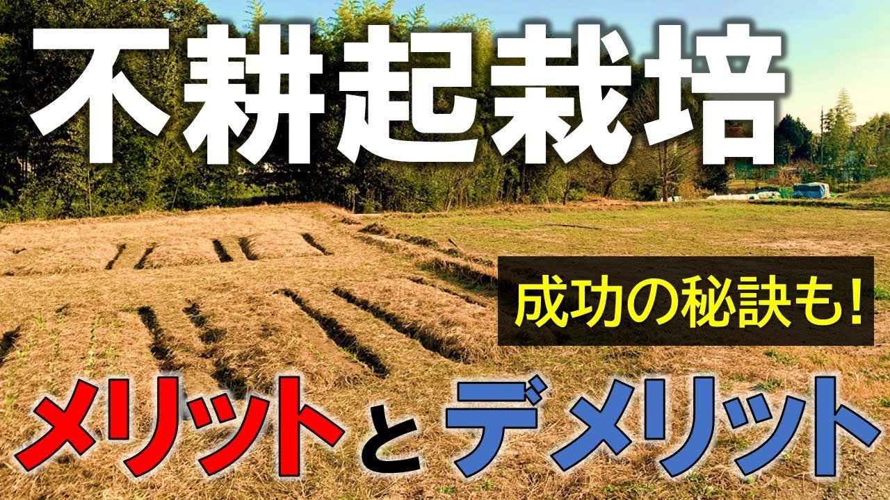 【ベテラン経験者語る】不耕起栽培のメリット・デメリット