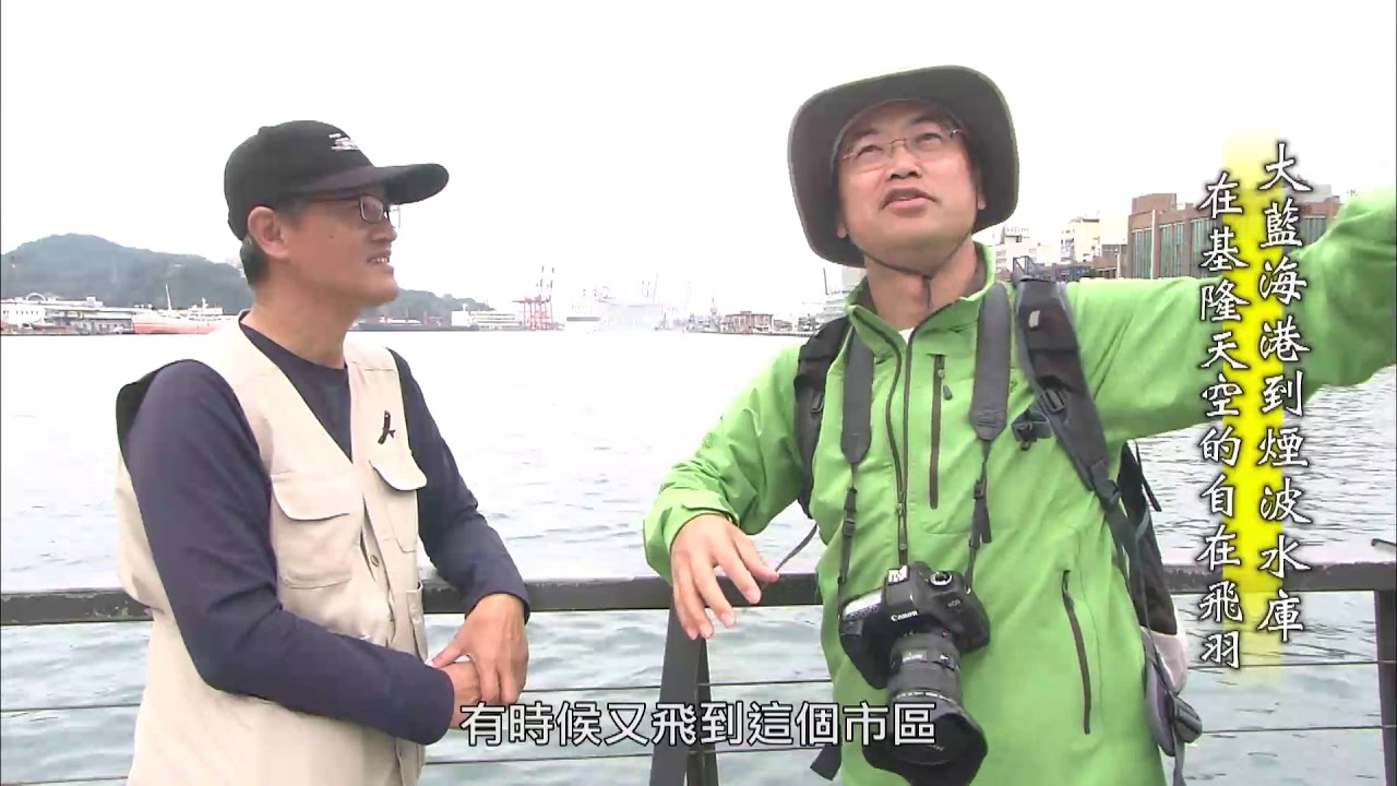 【台灣誌 #719】大藍海港到煙波水庫 在基隆天空的自在飛羽_20160417