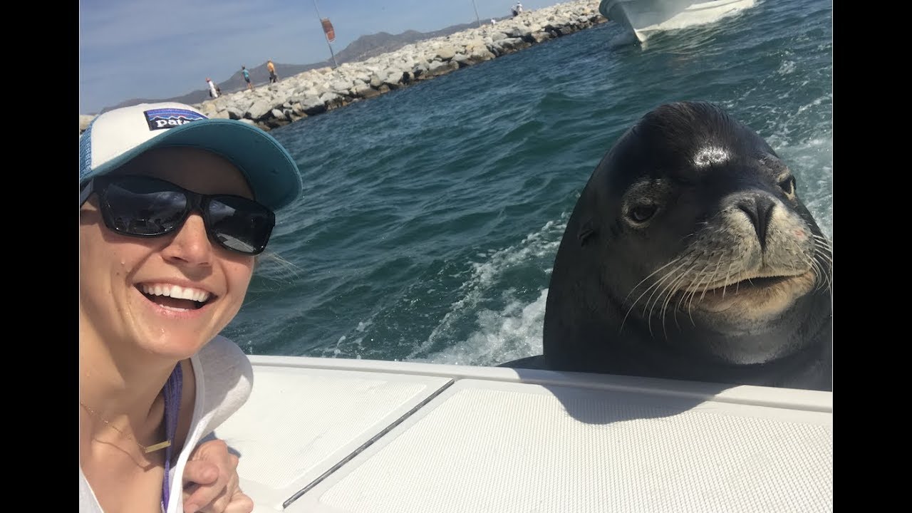 Cabo | Deep Sea Fishing & Poncho The Sea Lion!!!