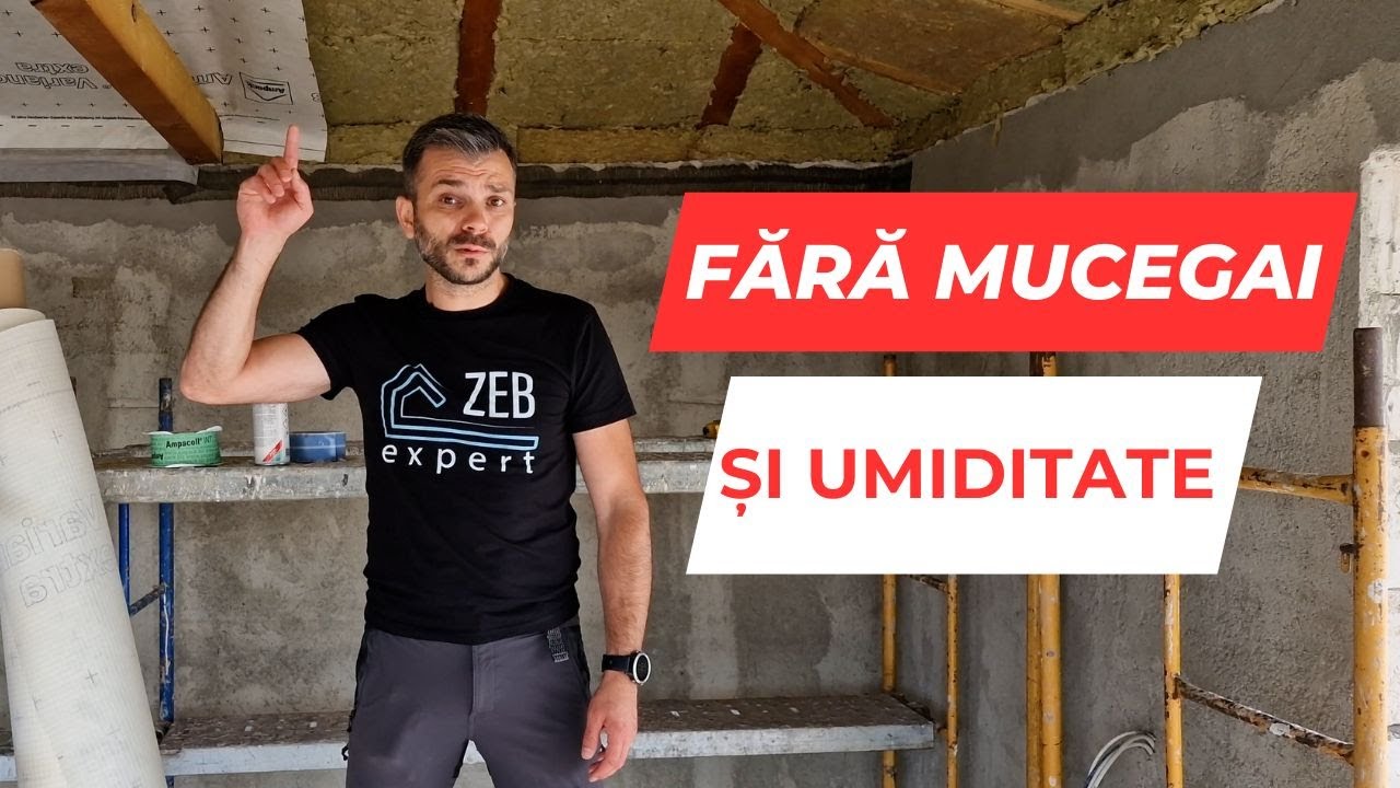 CUM PROTEJEZI IZOLAȚIA ACOPERIȘULUI DE UMIDITATE ȘI MUCEGAI - CASEBUNE.RO