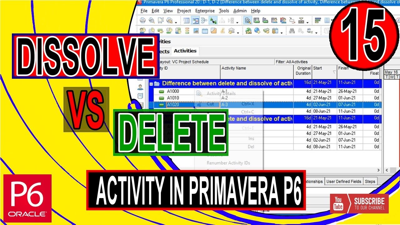 Explain Difference between Delete and Dissolve Activity in Primavera P6