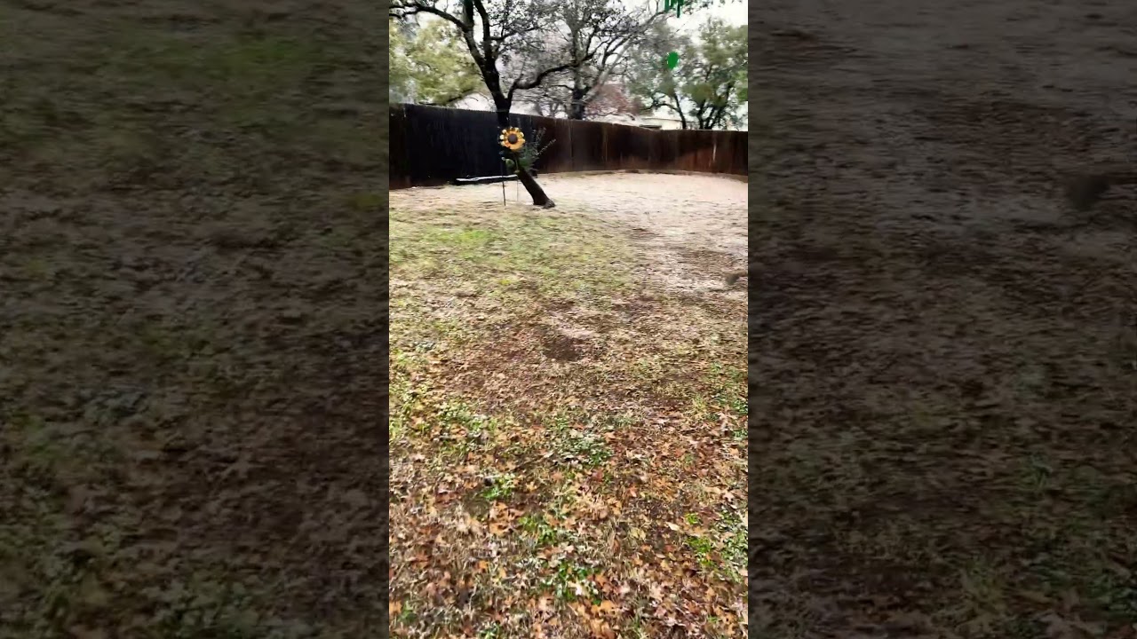 Snowing in central Texas winter storm Fern 2026