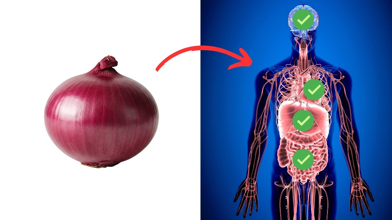 9 NAJLEPSZYCH Korzyści Zdrowotnych Czerwonej Cebuli