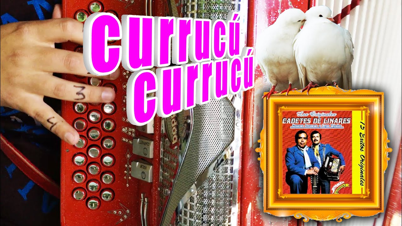 El palomito tutorial acordeon (Con adornos)
