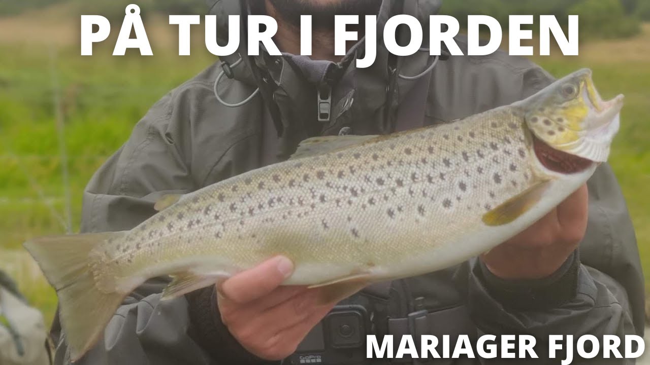 På tur i fjorden efter Havørred - Mariagerfjord