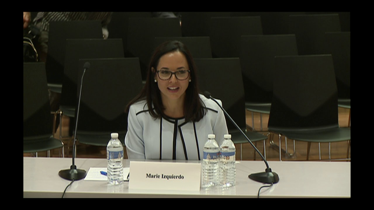 BPS Superintendent Interviews: School Committee, Marie Izquierdo