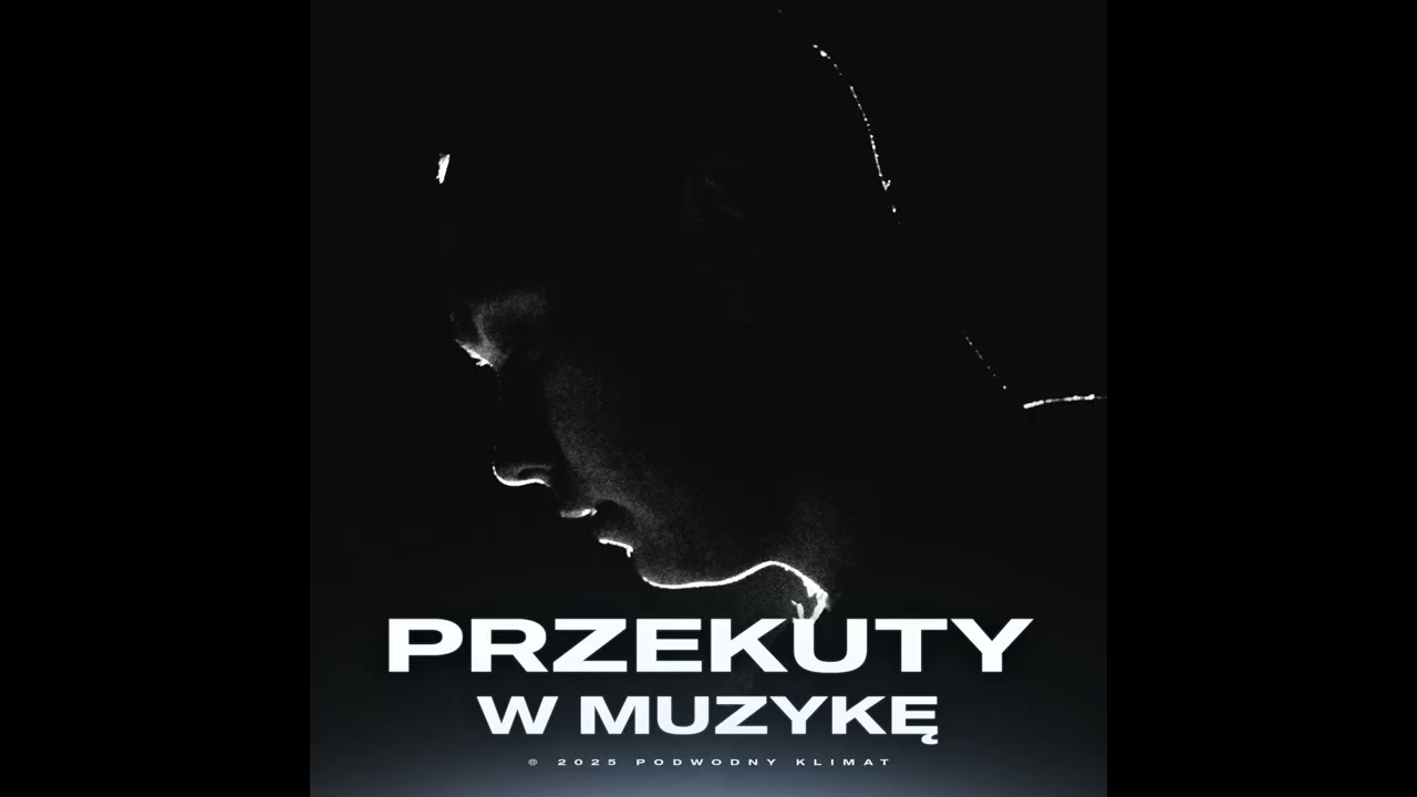 shokuz - MOSTY (Outro)