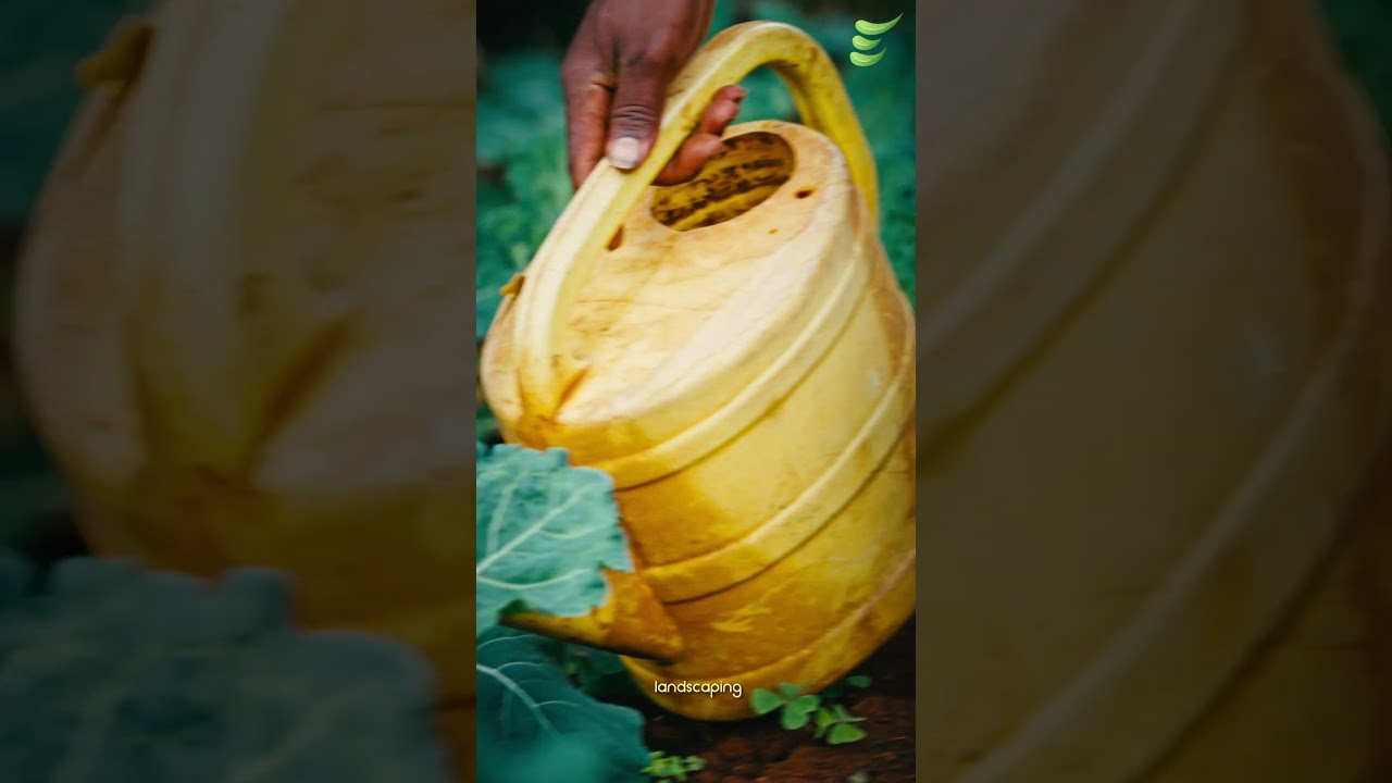 What Comes Out of the Aerobin Composter?