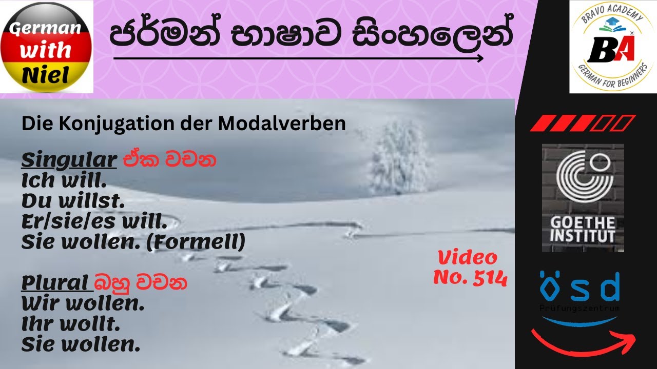 Spoken | ModalVerben | Wollen වාක්‍යන් හදමු (No.514)