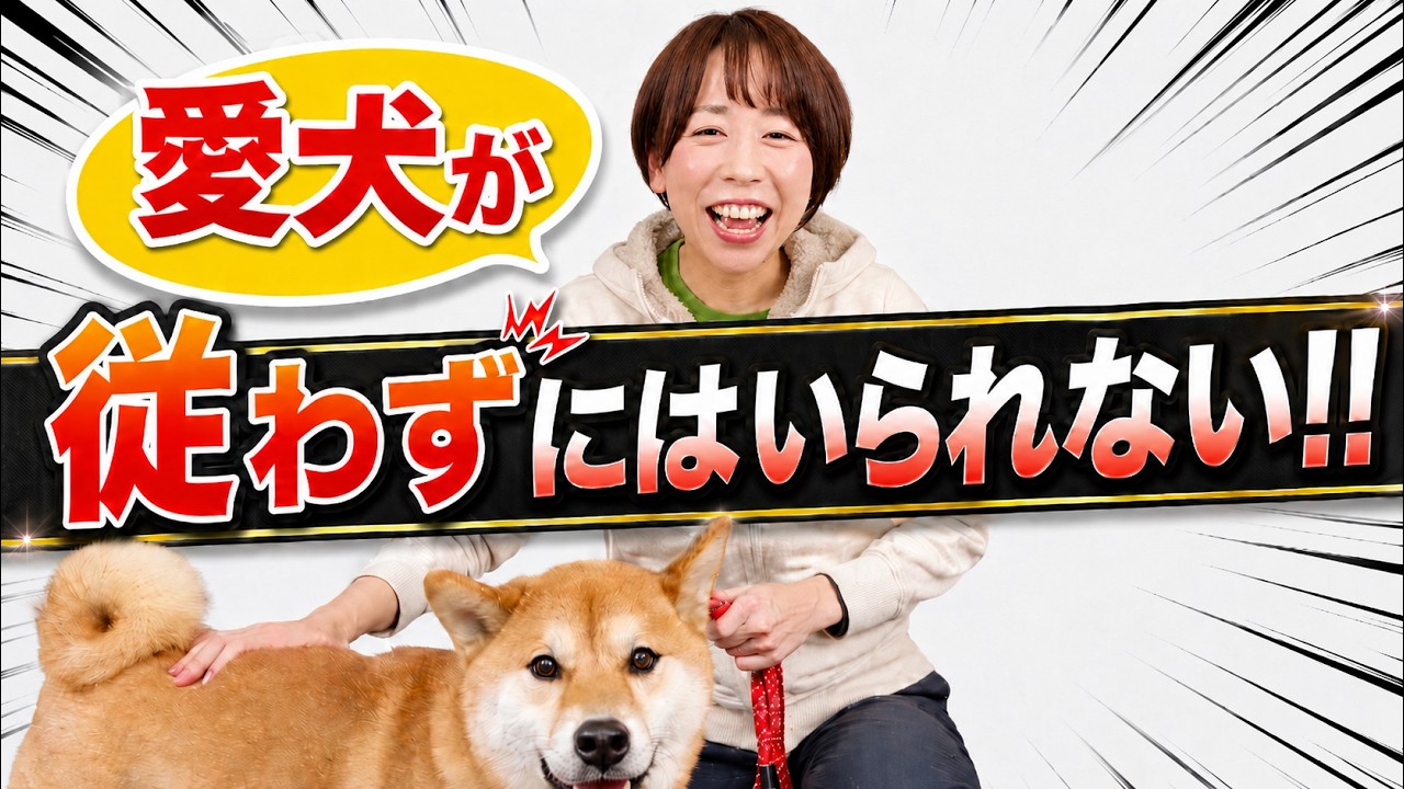 愛犬が驚くほど言うことを聞く！魔法のコマンドトレーニング☆