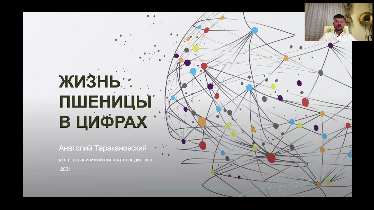 ЖИЗНЬ ОЗИМОЙ ПШЕНИЦЫ В ЦИФРАХ