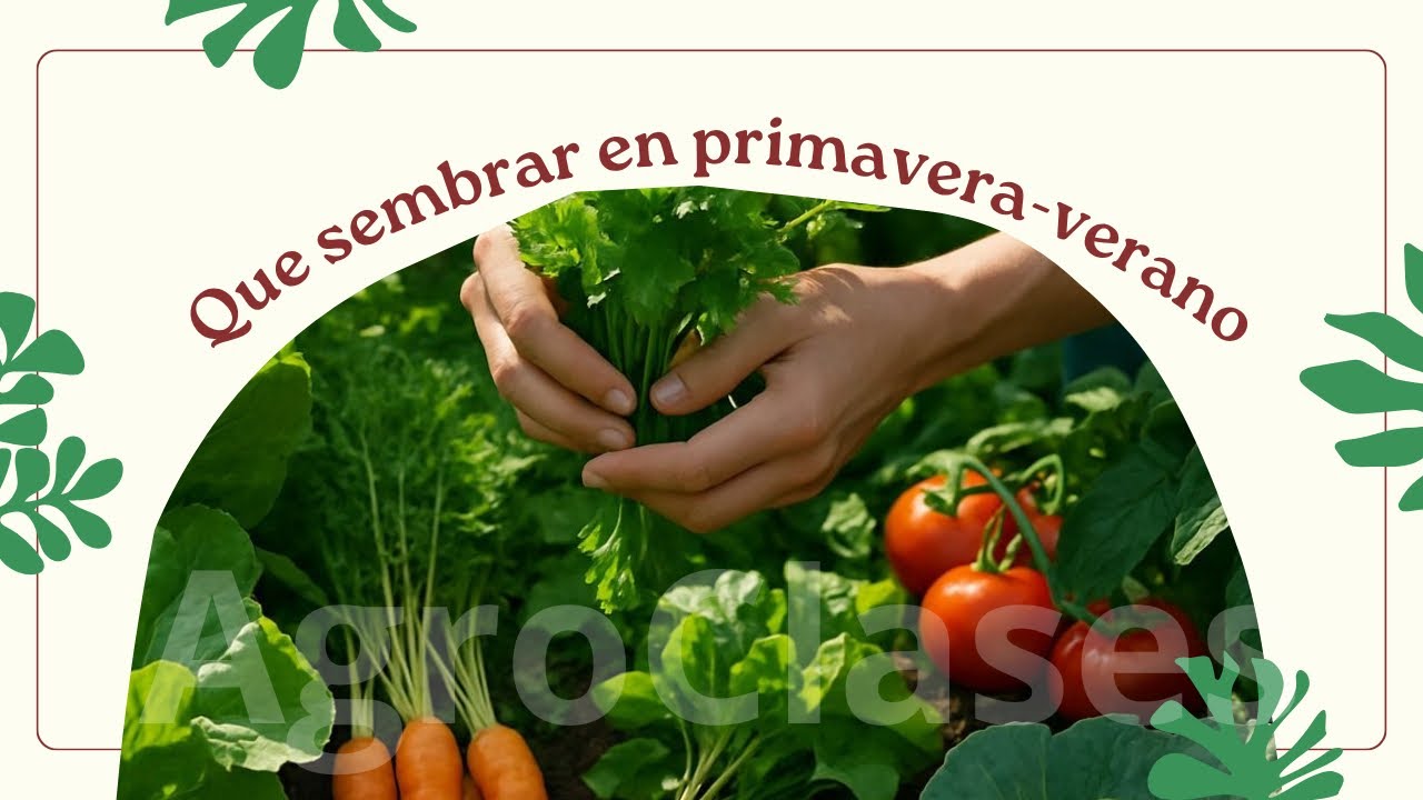 Que sembrar en primavera / verano || calendario de siembra || Argentina