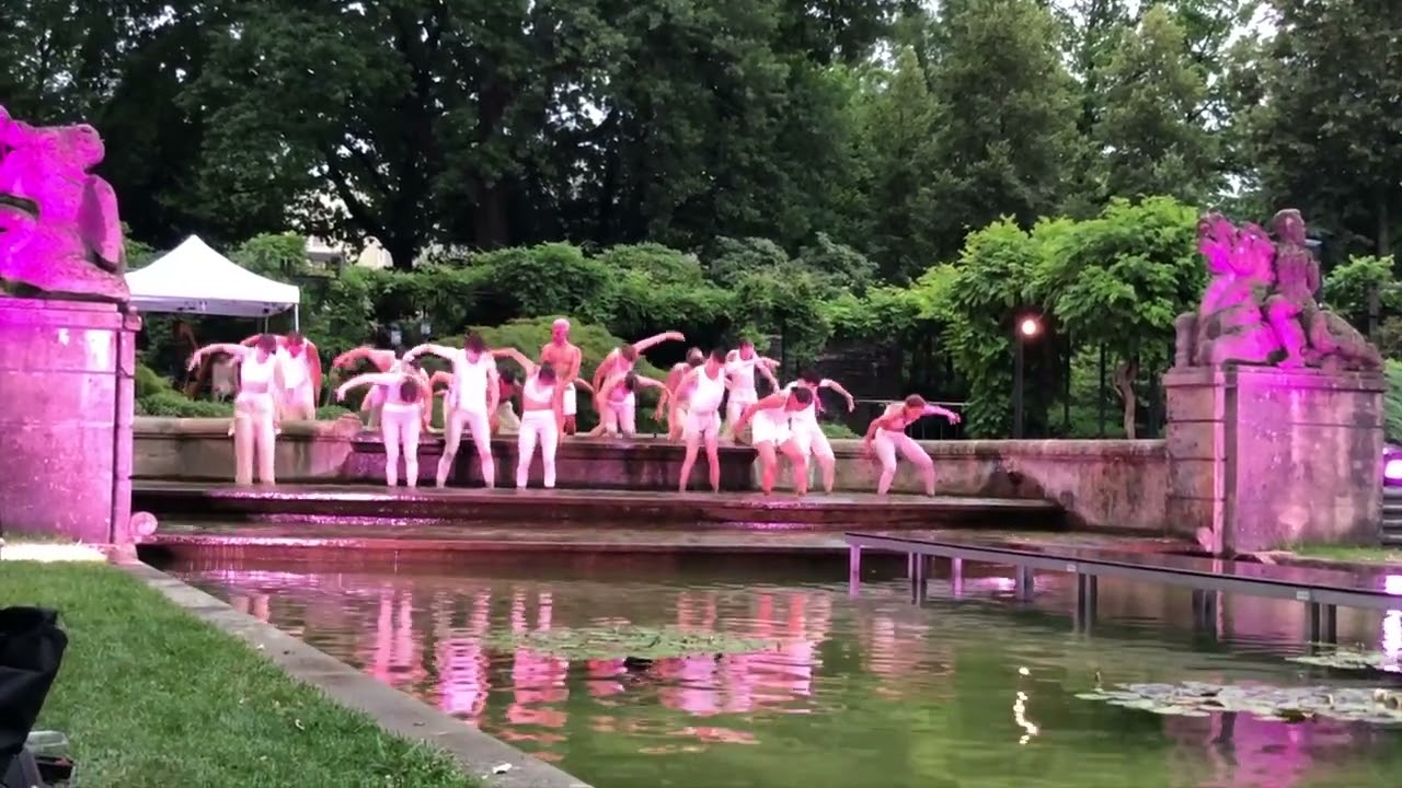 An Ode To Swan Lake