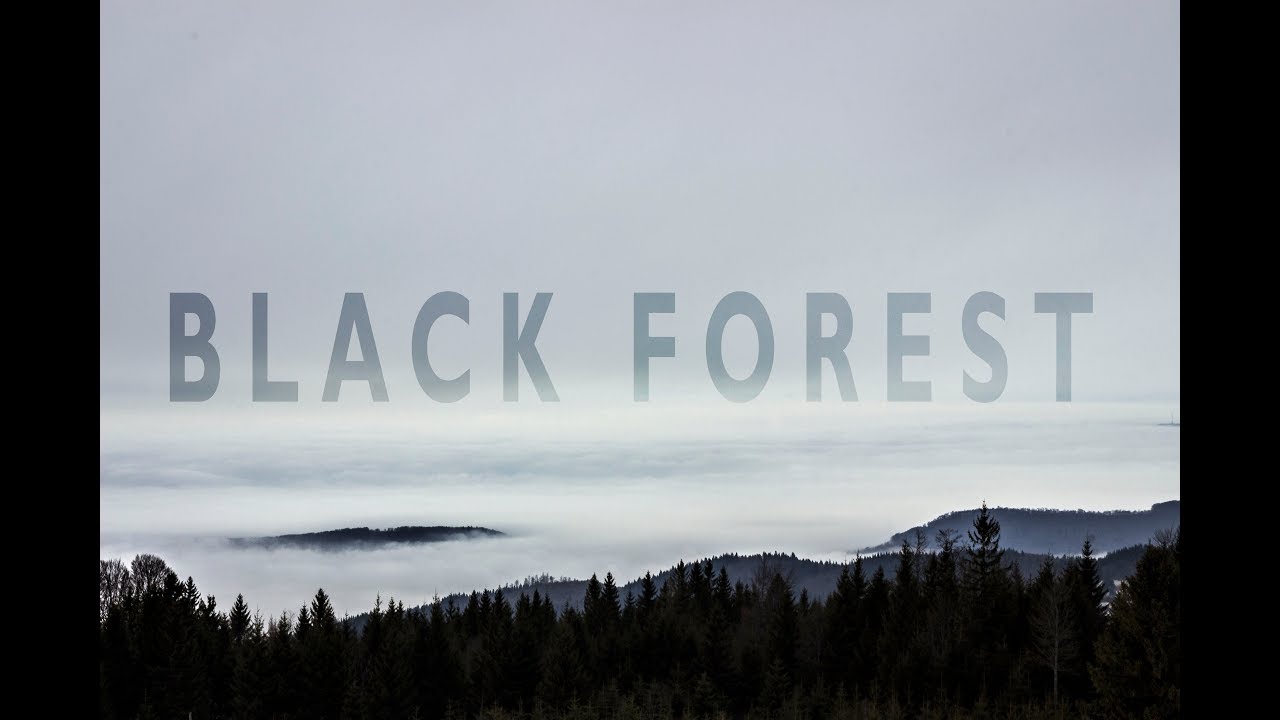 Black Forest | A 4K Timelapse Video