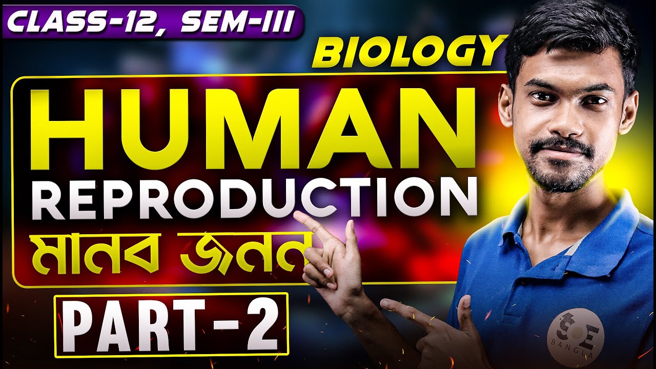 মানব প্রজনন বুঝে নাও সহজে | Human Reproduction | Class 12 Biology Sem 3 | Part 2