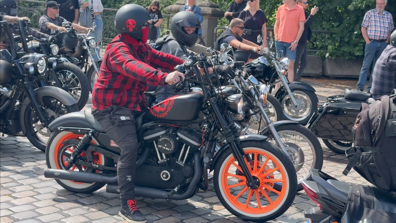 Harley Rider, Hamburg, Germany, 2025, Part  2 #harley  #custom #harleydavidson
