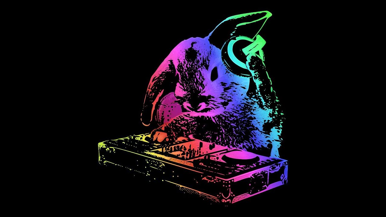 dj.eMport saturday