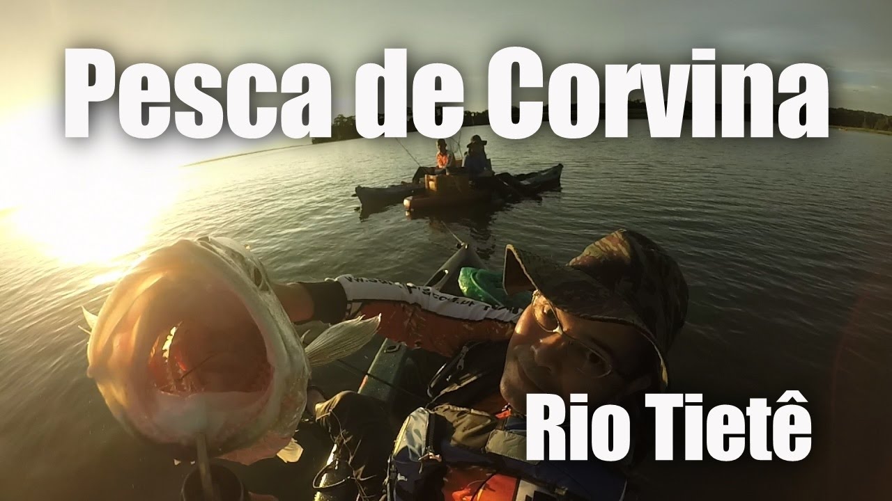 Pesca corvina no Rio Tietê