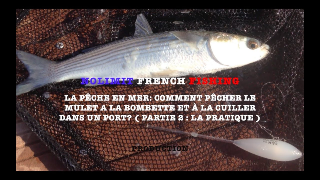 La pêche en mer : Comment pêcher le mulet à la bombette et à la cuillère en port?