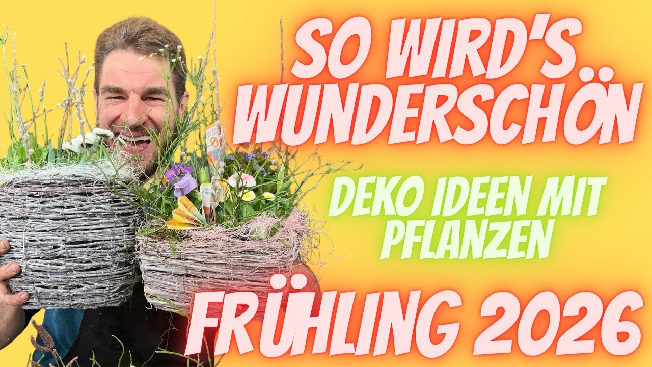 Bepflanzung in Gefässe Frühling 2026