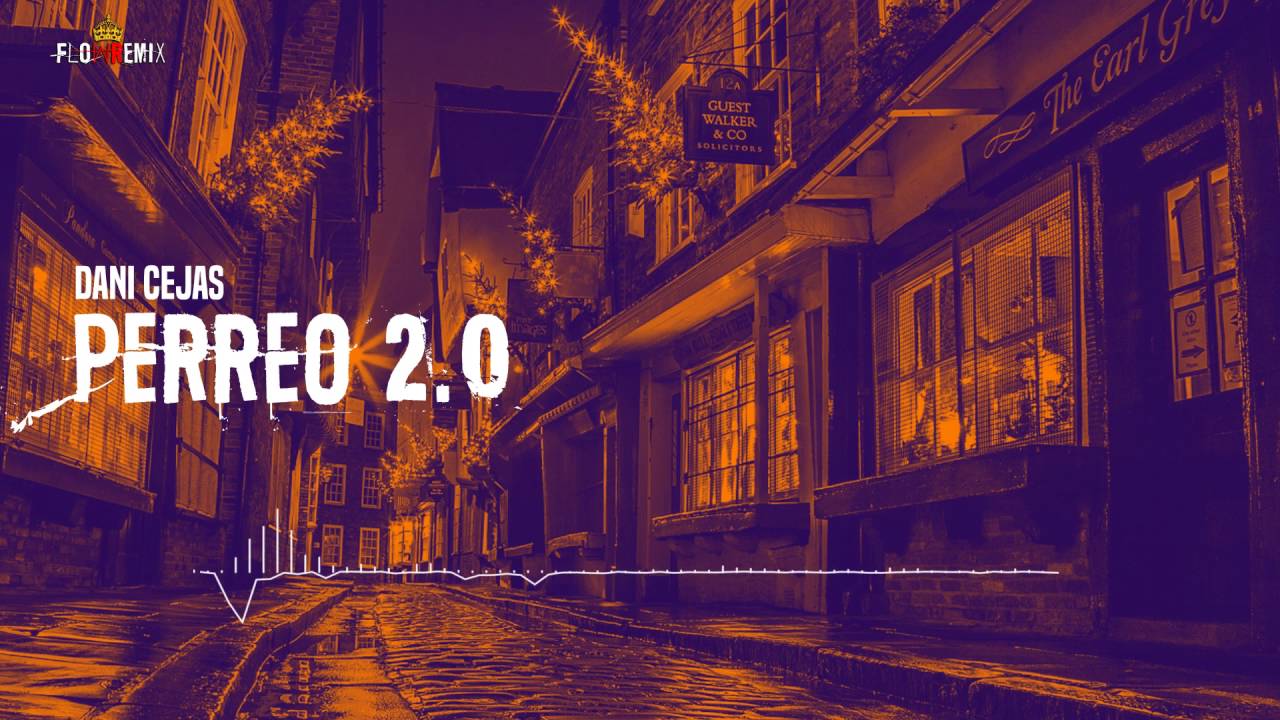 Dani Cejas - Perreo 2.0 (Flowremix 2016)