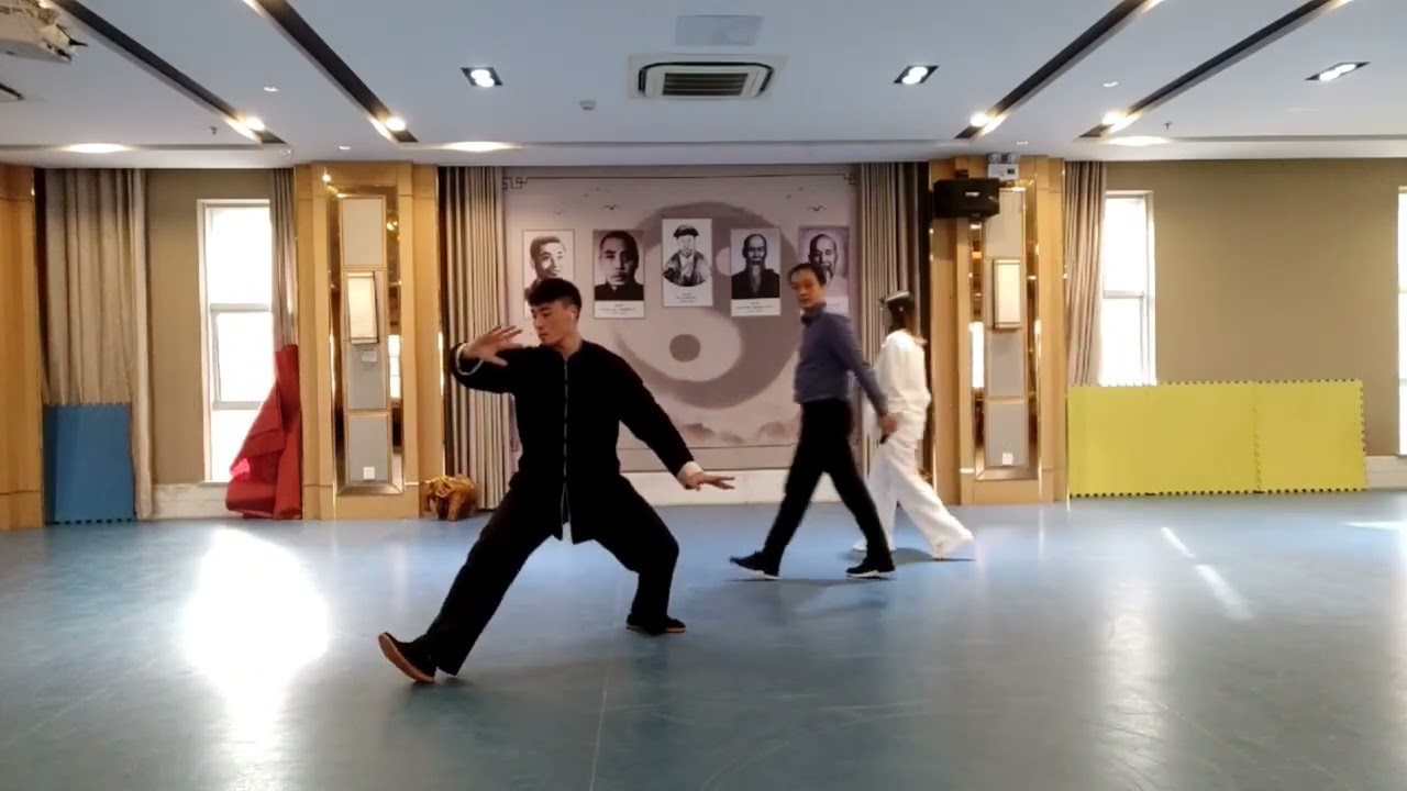 Chen Taichi Old Frame Two Slow (Lao Jia Er Lu) 陈式太极拳老架二路（不发力） 陈正雷关门弟子刘左龙