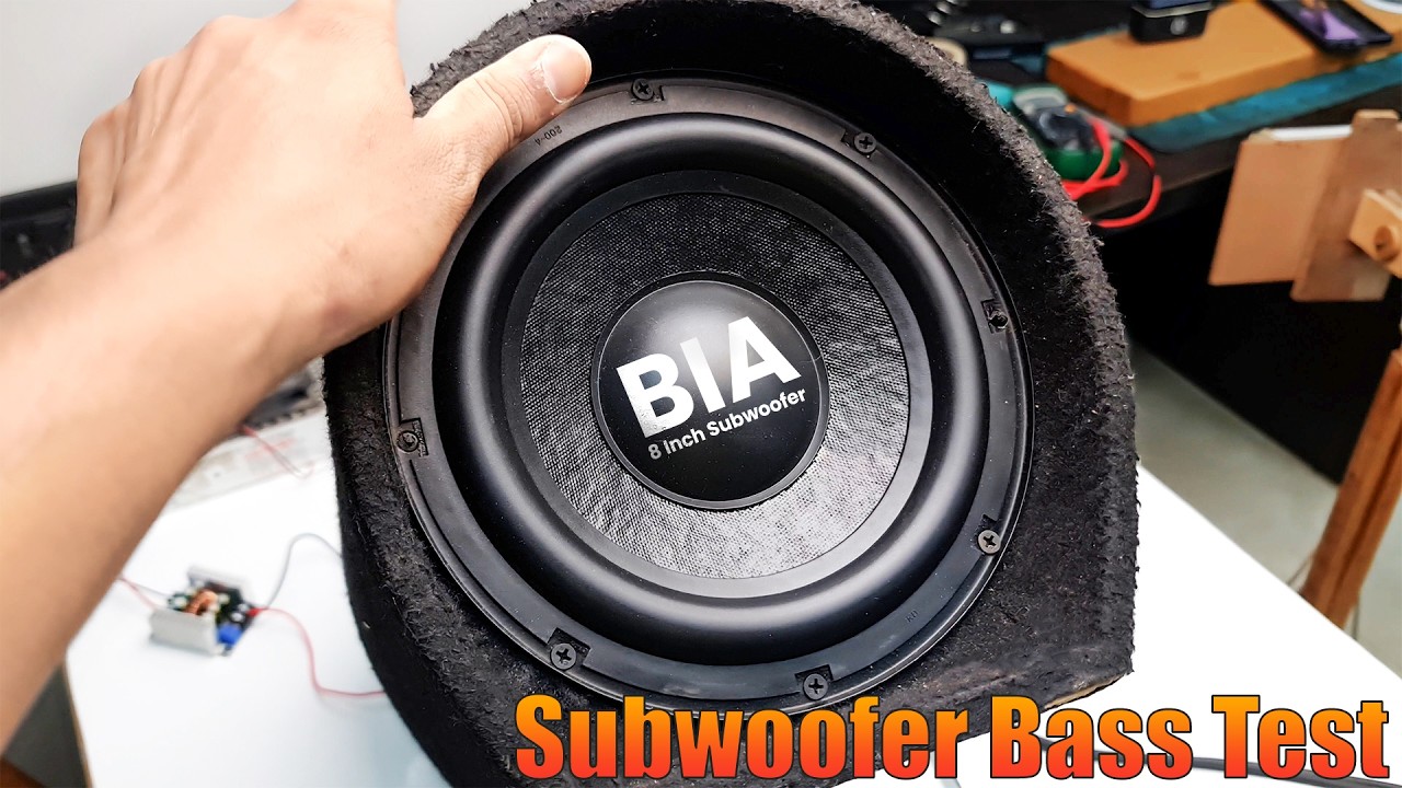 BIA Acoustics 8 Inch Subwoofer Long Strokers 150W 4ohm for Hometheatre & Car | subwoofer bass test