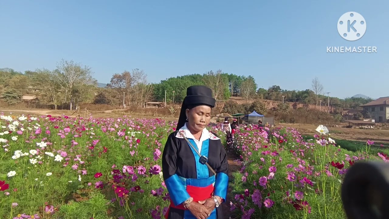Laus li no tuaj txog tej Chaw kho siab kawg hais kwv txhiaj qub nkauj qub nraug o