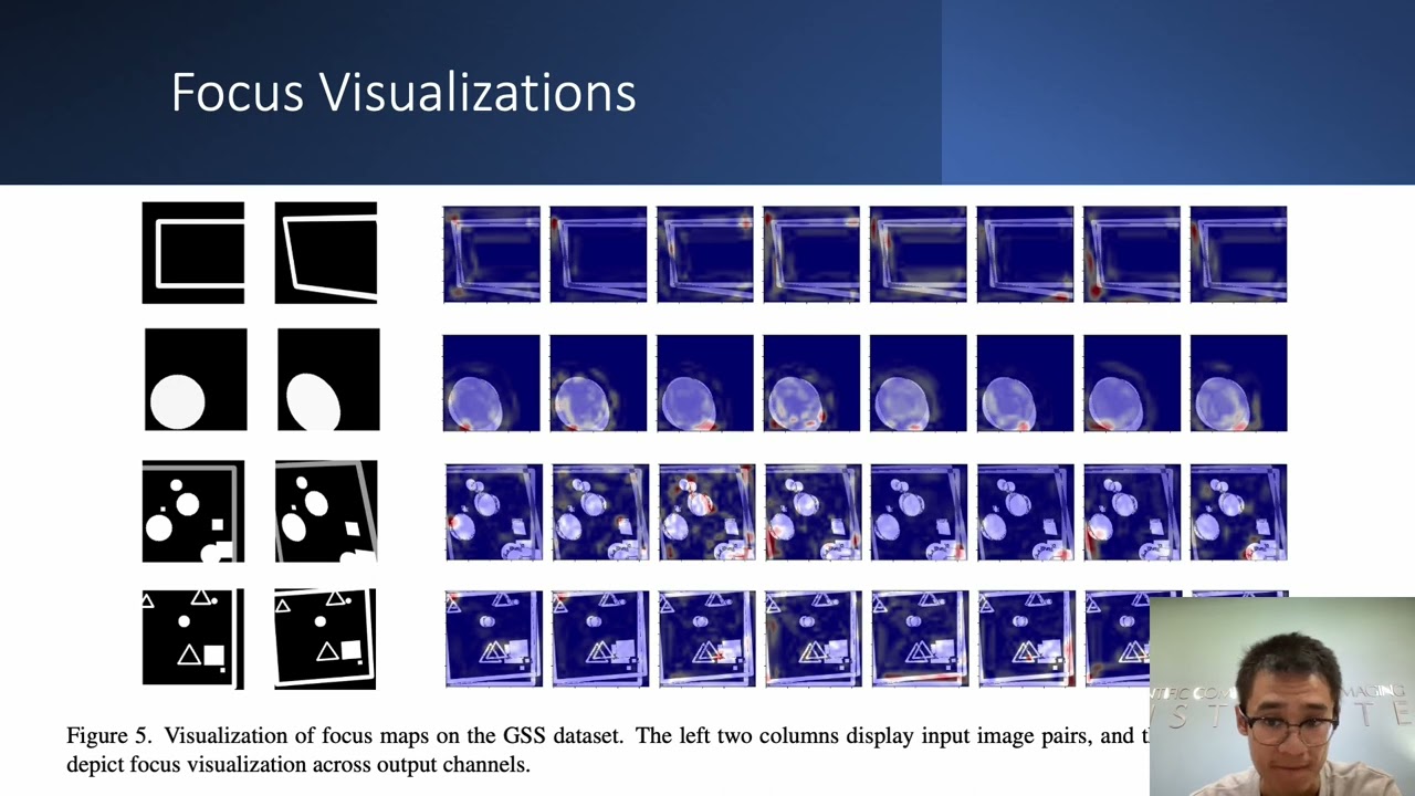 Analyzing the Domain Shift Immunity of Deep Homography Estimation