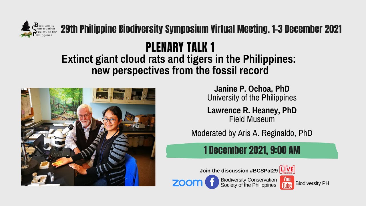 [Plenary Talk 1] Extinct giant cloud rats and tigers in the Philippines