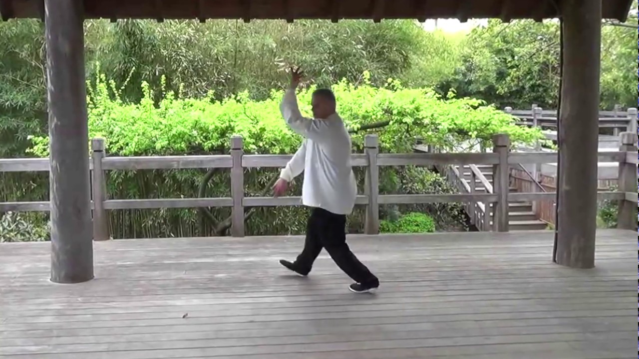 Baguazhang Earth Palm Jiulong Bagua with Shifu Yancy Orchard Saskatoon SK.