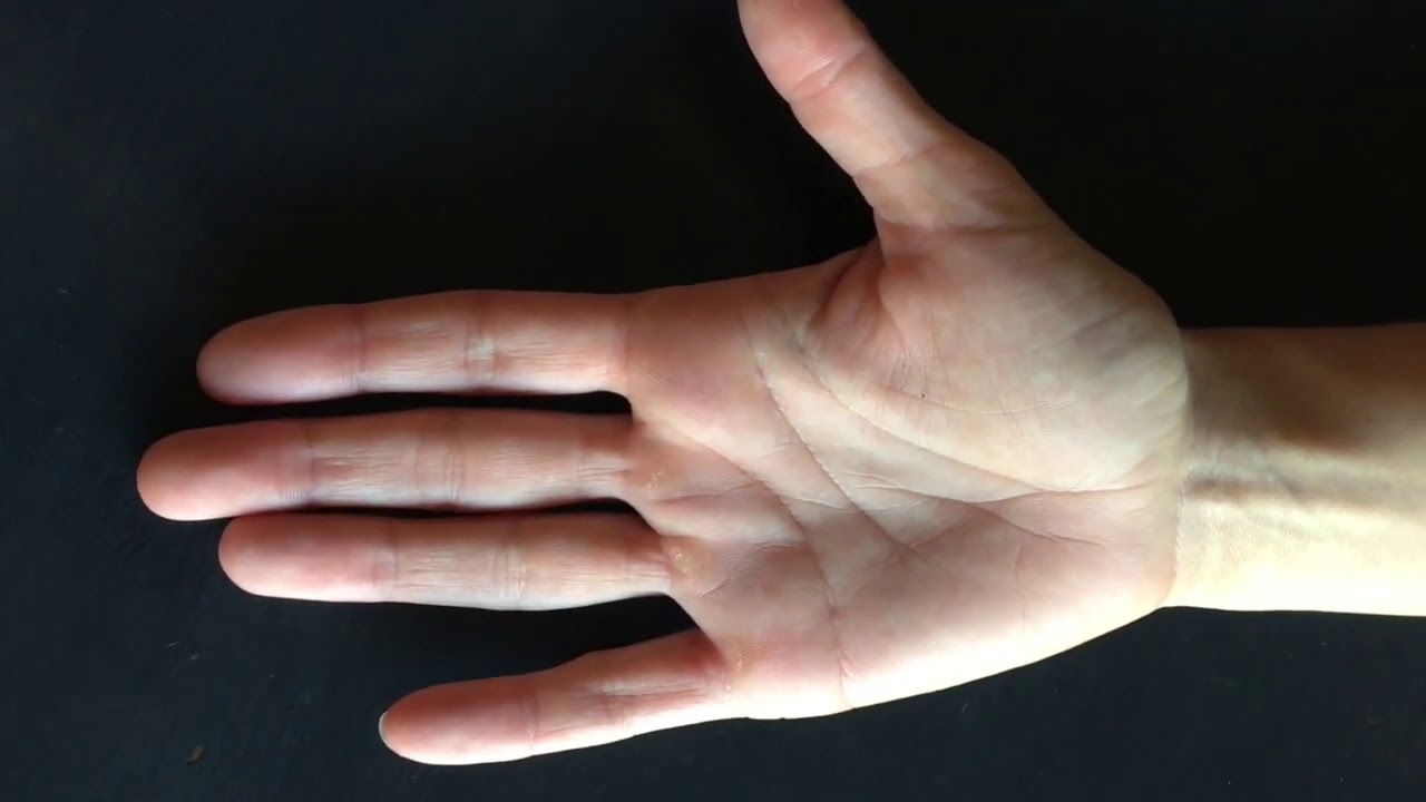 Palmer Reflex: Brushing Integration