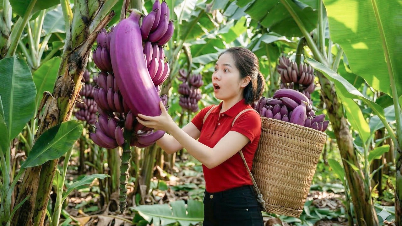 Harvesting Tons of Papayas from the Garden | Taking Them to the Market to Sell & Cooking