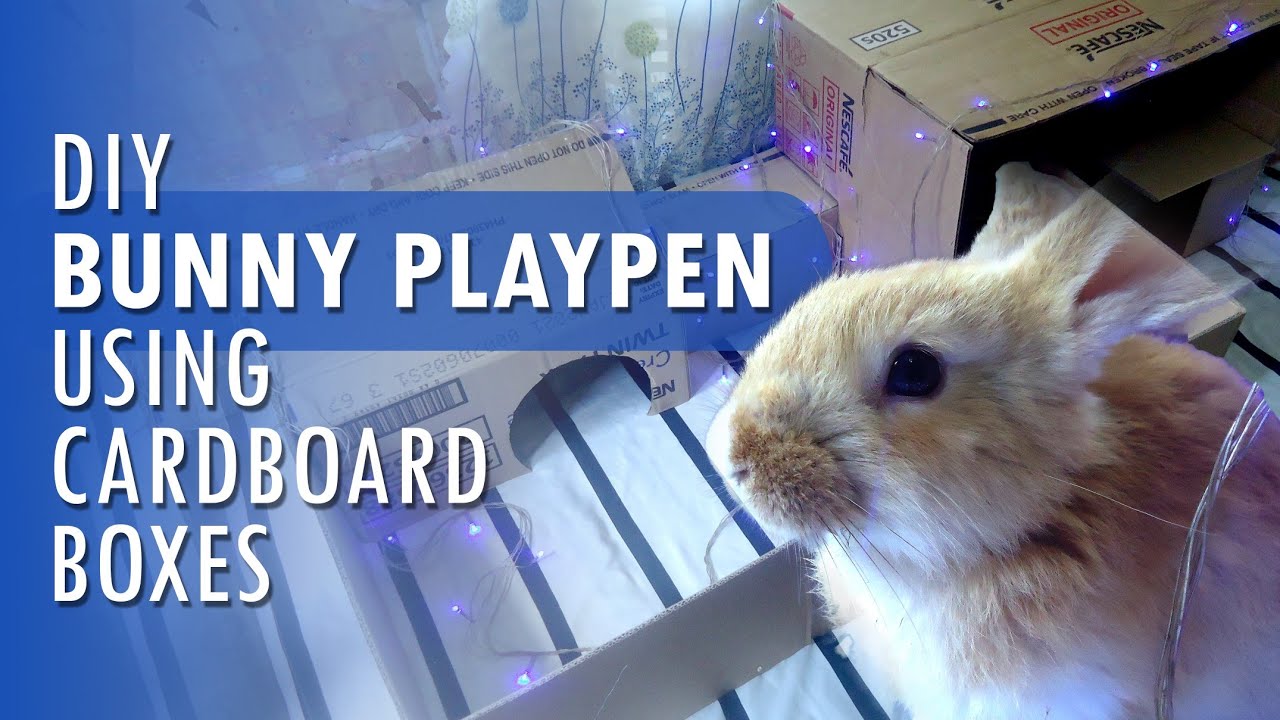 DIY BUNNY PLAYPEN FROM OLD CARDBOARD BOXES