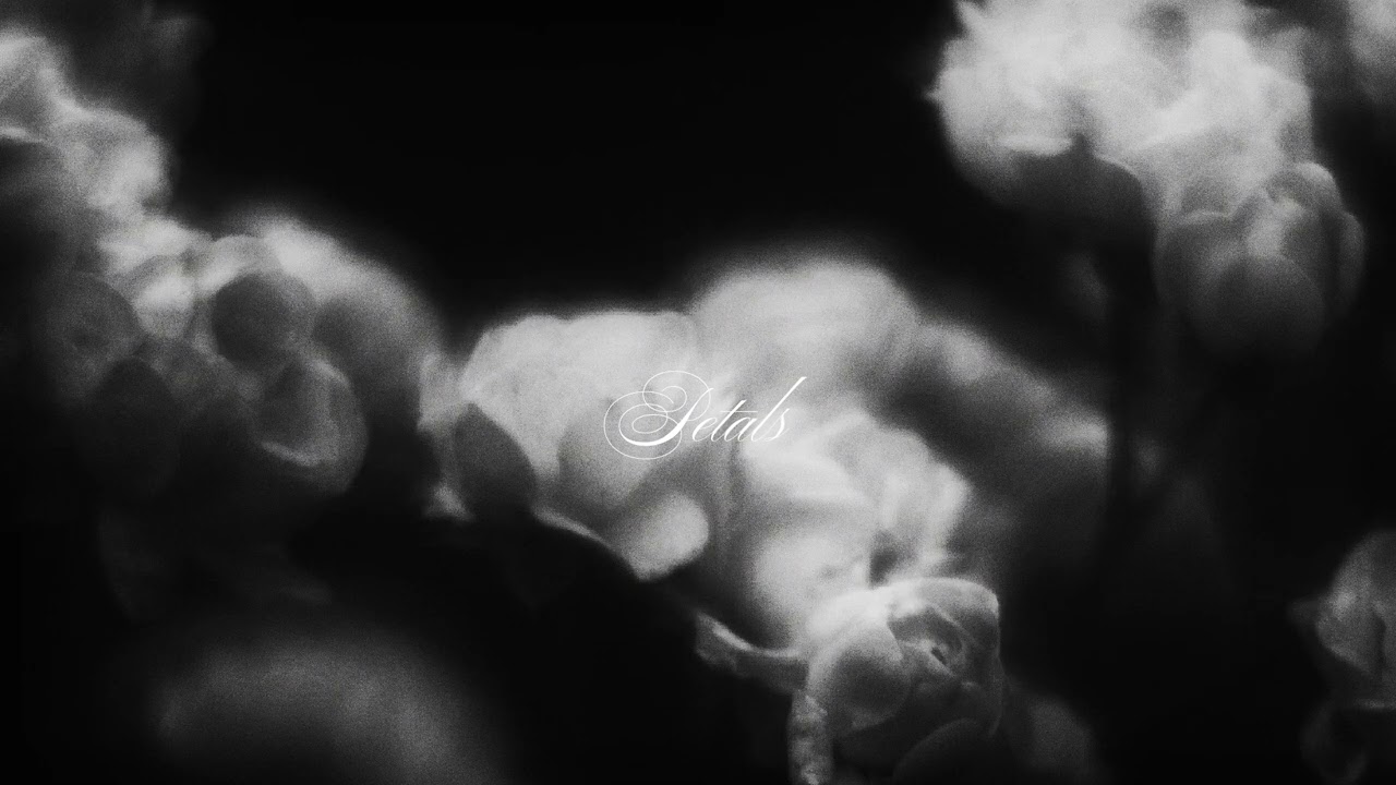 Revsun - Petals