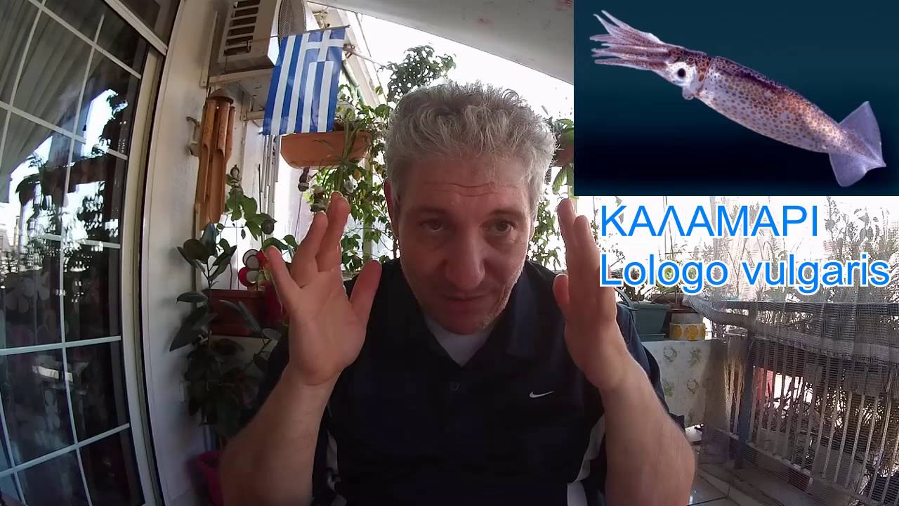 ψαροντουφεκο γνωριμία σουπιά & καλαμάρι spearfishing sepia & squid