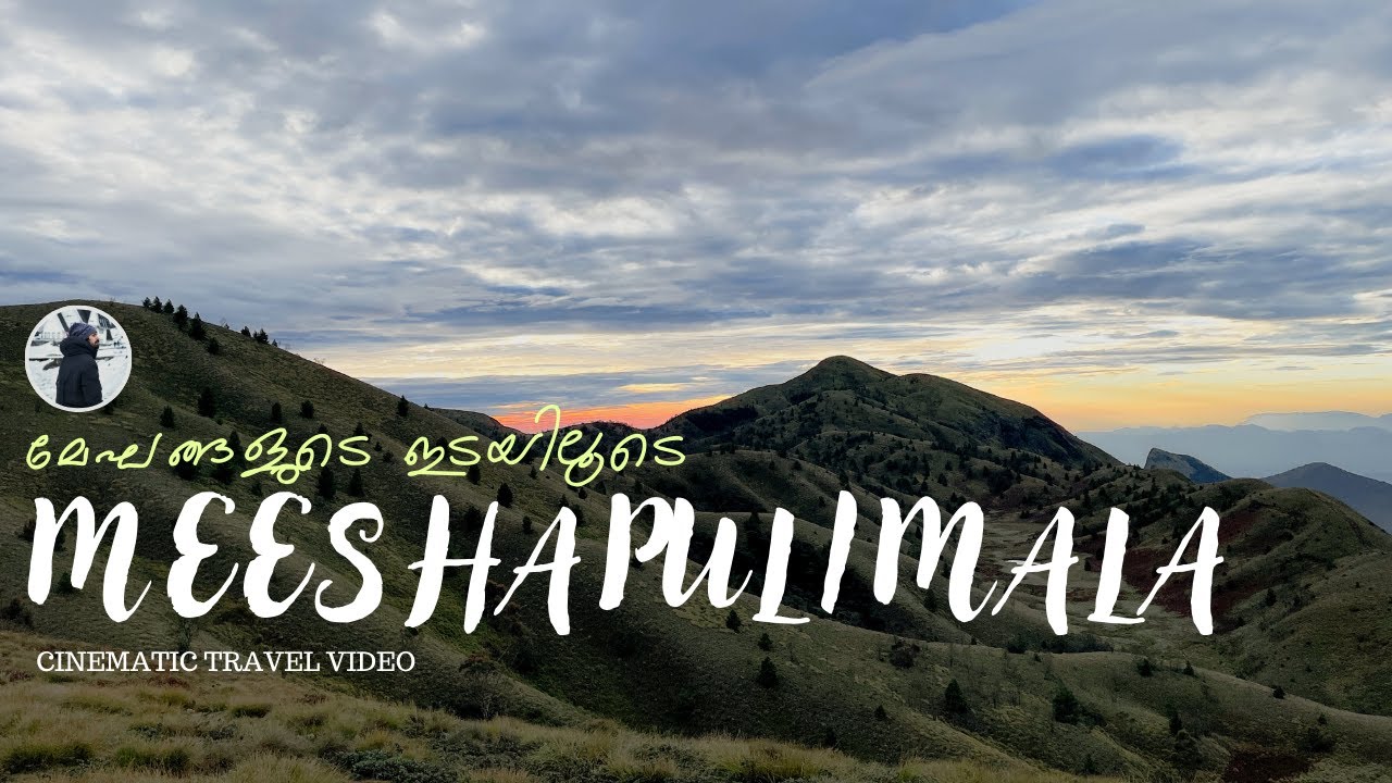 Треккинг в Мишапулимале | Самая высокогорная туристическая достопримечация Муннара | Пакет услуг ...