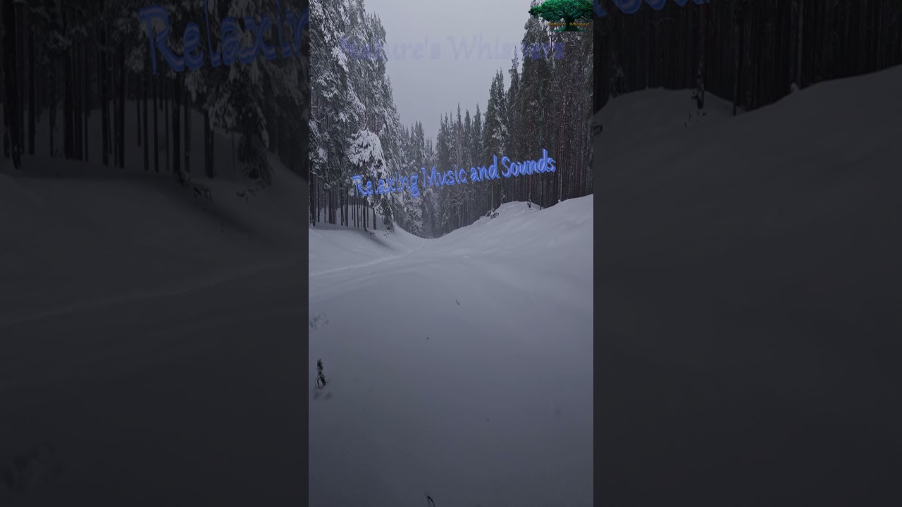 3 HOURS Winter Forest Sleep❄️Snowy Pines, Blizzard Ambience & Insomnia Relief (4K)