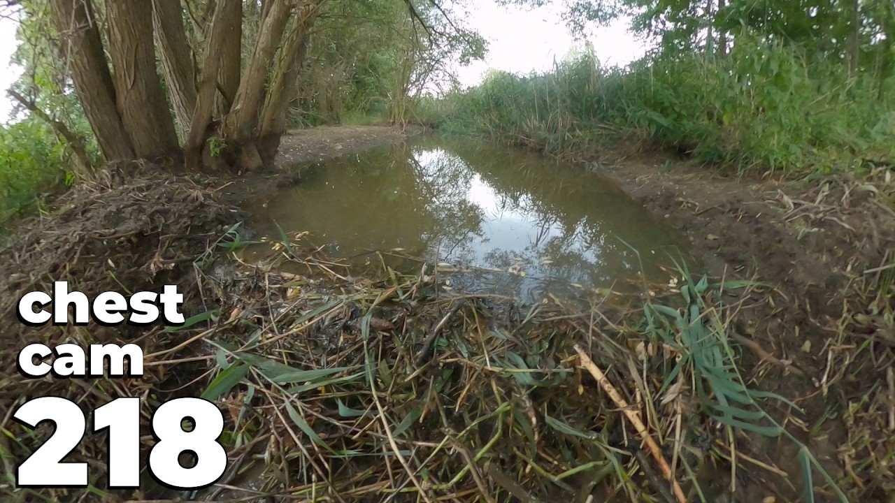 Work From Start To Finish - Manual Beaver Dam Removal No.218 - Chest Cam
