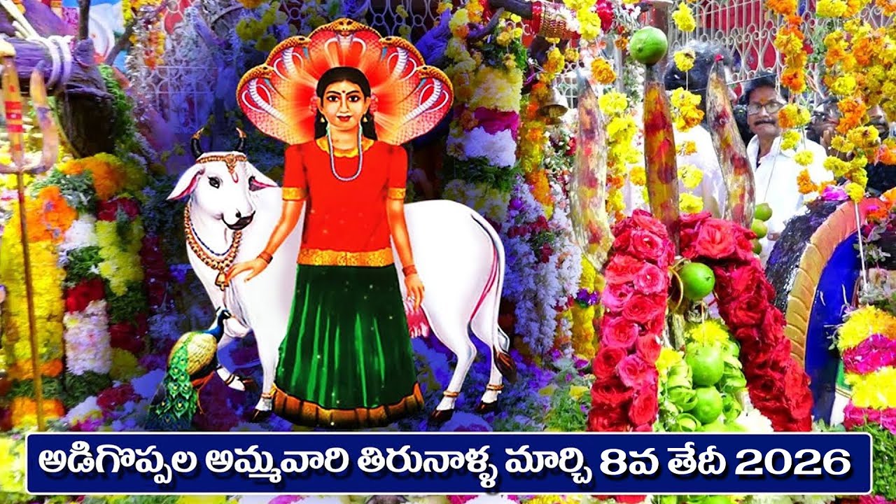 Sri Nidanampati Ammavari Tirunalla 08-03-2026 || Adigoppula Ammavaru