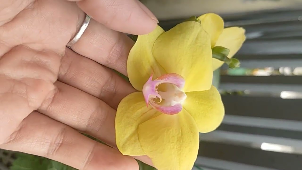 Đẹp thế em Lan 🥰🥰🥰
