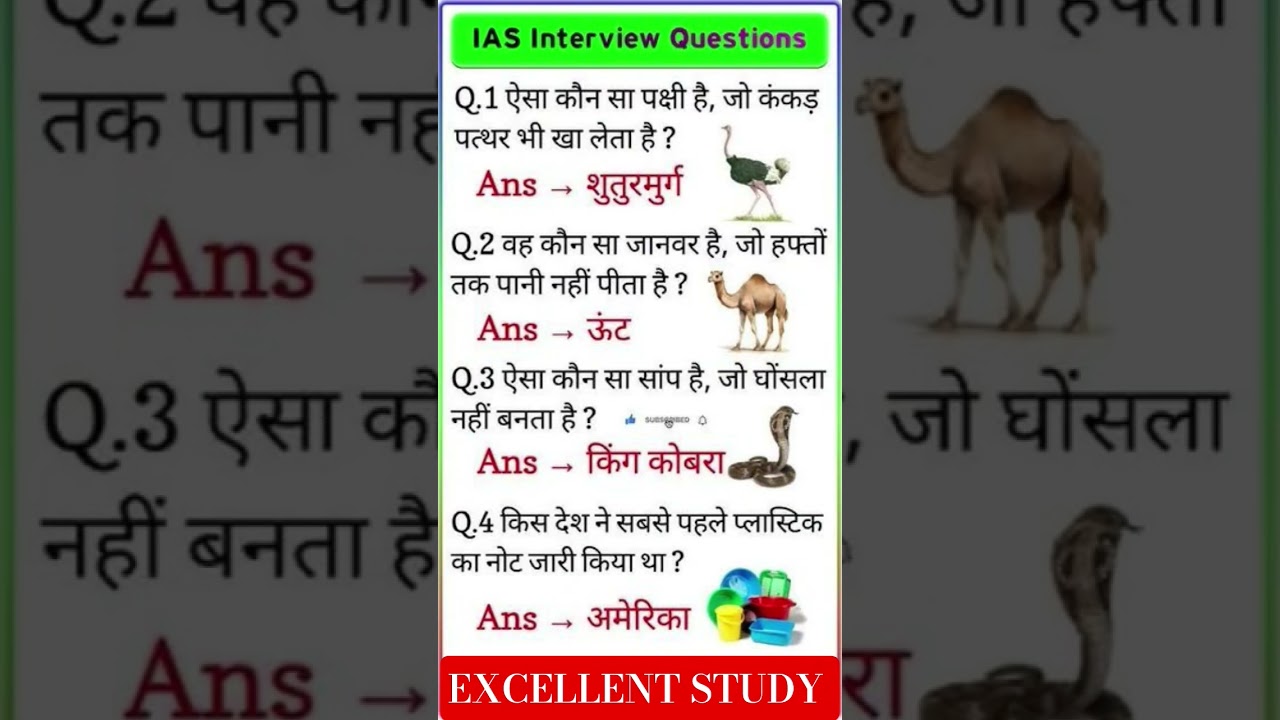 #MindChallenge #GKShorts #QuizChallenge #KnowledgeBattle
