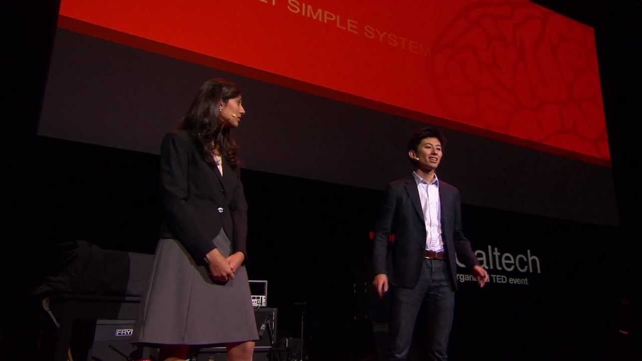 &laquo;Эмоции&raquo; в мозгу голодной мухи: Хидехико Инагаки и Кетаки Пансе на TEDxCaltech