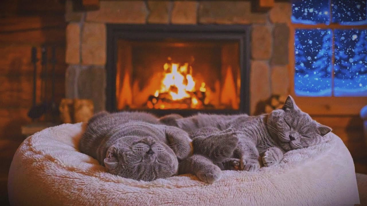 🌙😴 Fall Asleep Faster Deep Sleep Sounds Crackling Fireplace Winter Cabin for Insomnia 😴